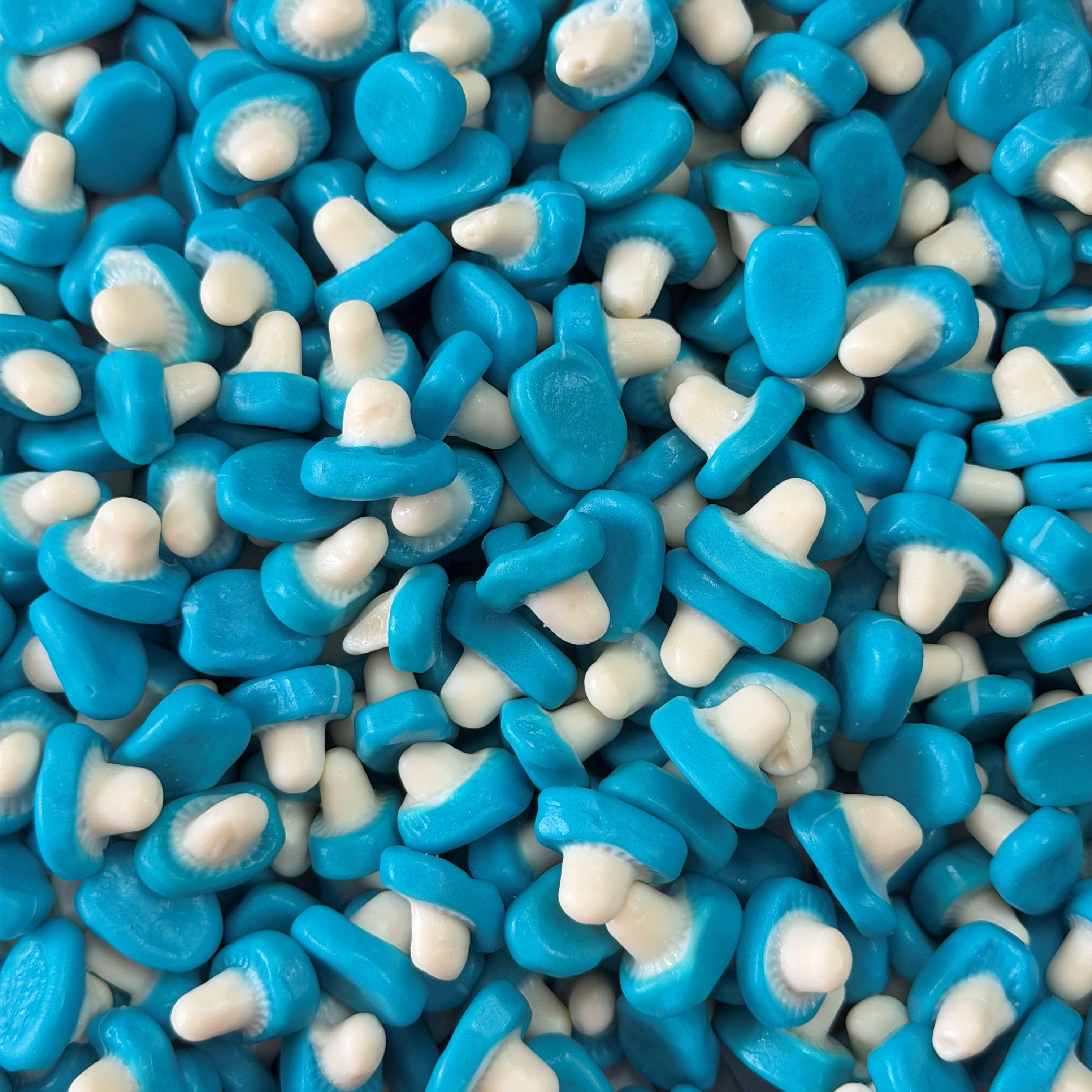 Bubblegum Mushrooms - 1kg