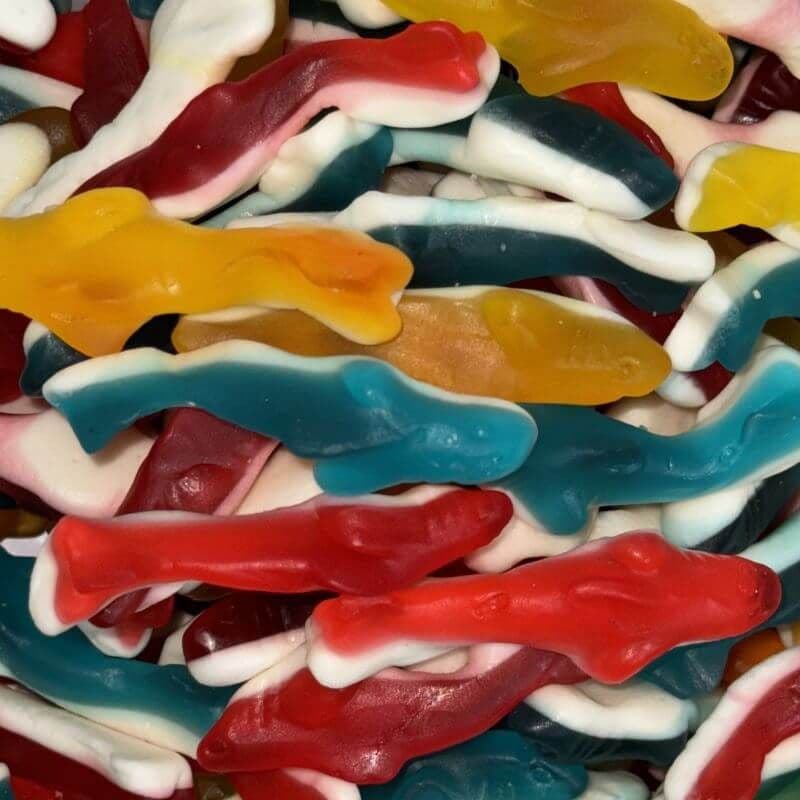 Foam Dolphins - 1kg