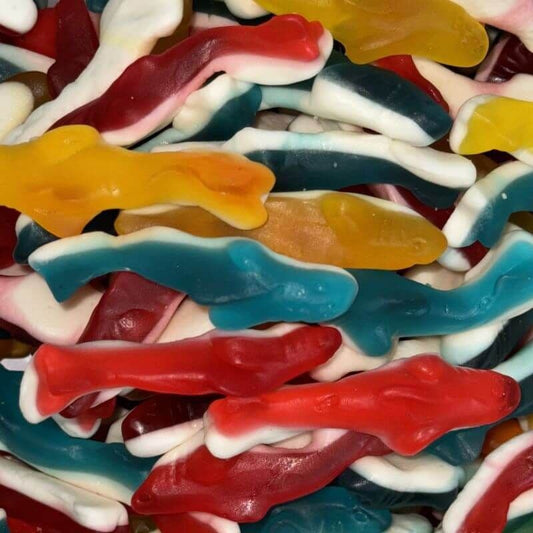 Foam Dolphins - 1kg